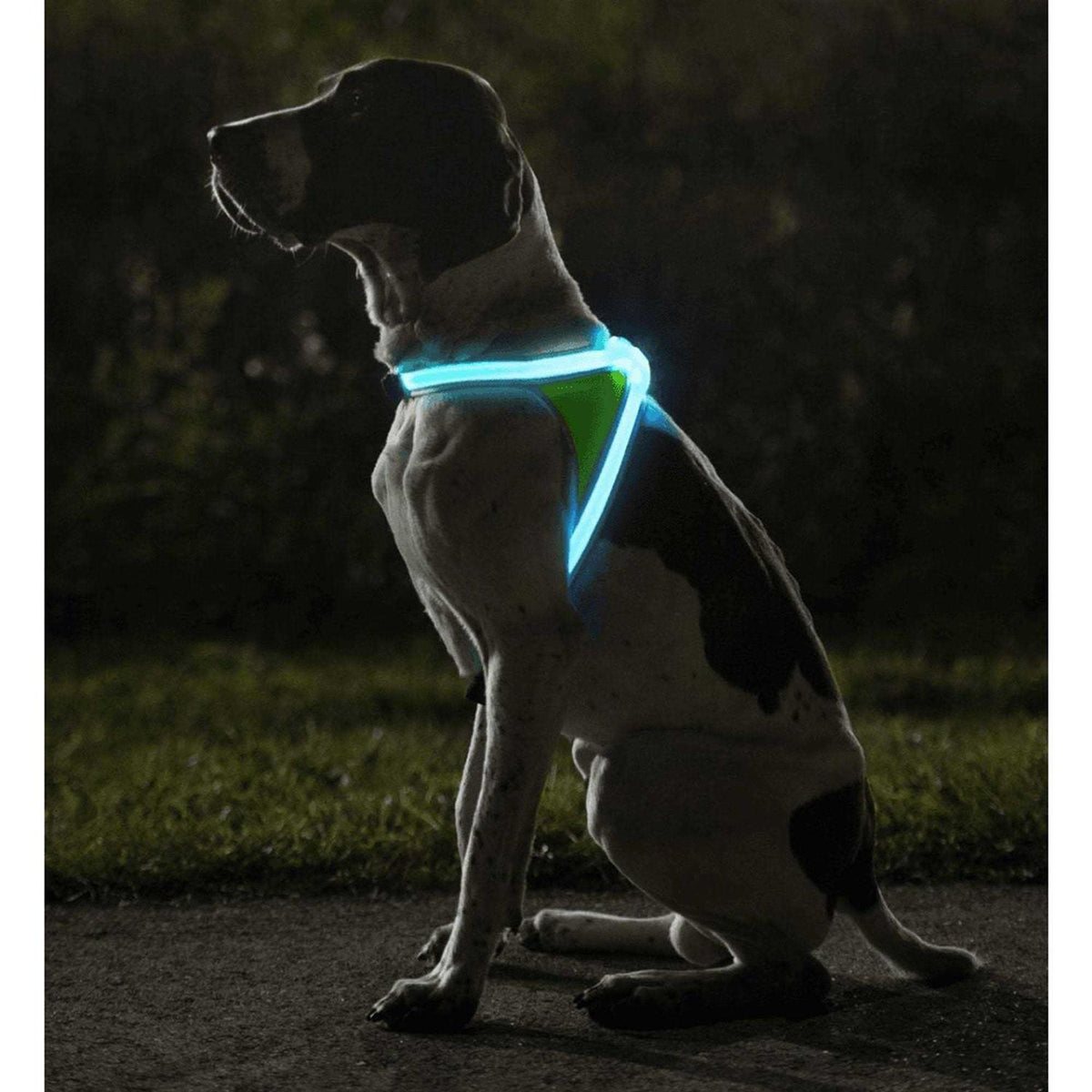 LED Reflective Dog Harness E3059