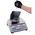 Compact Bench Scale 6 lb / 3 kg Capacity Y874845
