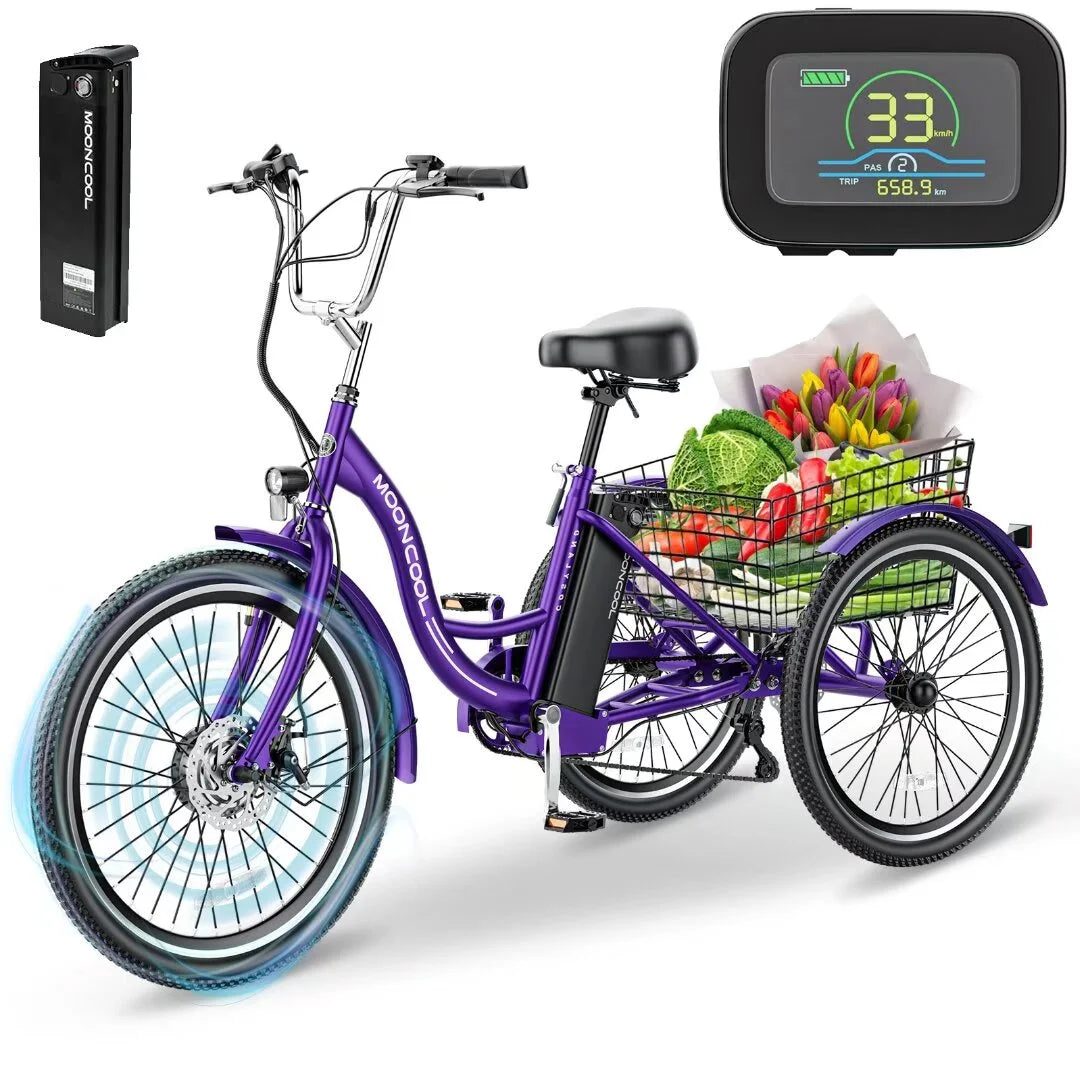 24'' 500W 7-Speed Electric Tricycle with Removable Battery N51992