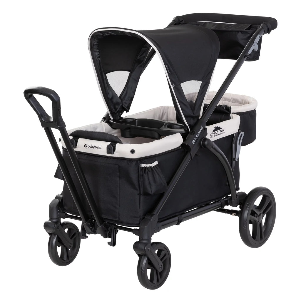 2-in-1 Stroller Wagon with Canopy N814880