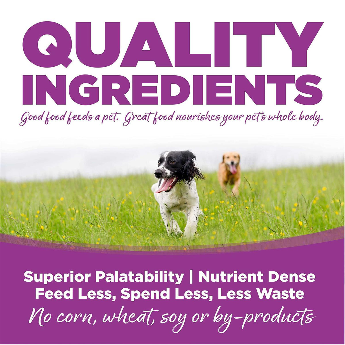 Chicken Rice Large-Breed Puppy Dry Dog Food K957