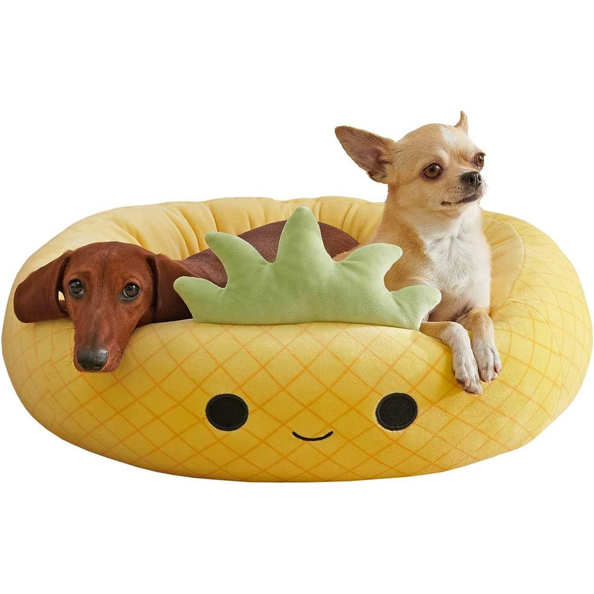 Maui The Pineapple Pet Bed V172