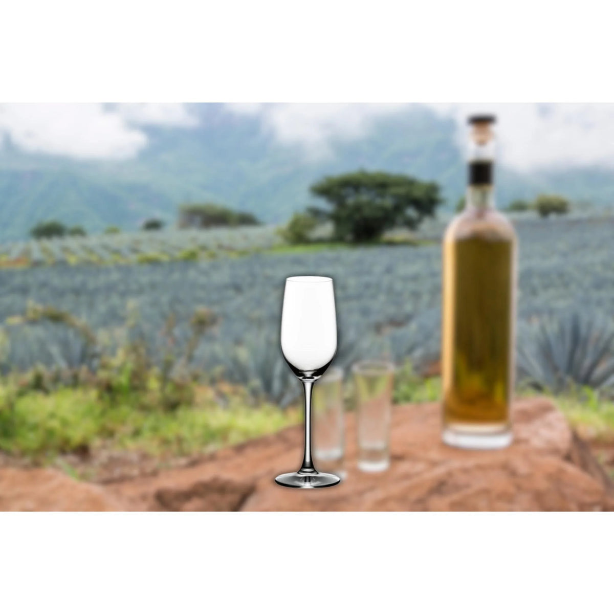 Tequila Glasses with Wine Aerator and Wine Pourer 12-Pack L457449