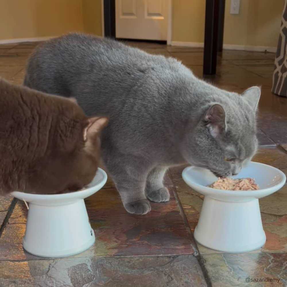 Cat Food Tuna M3794