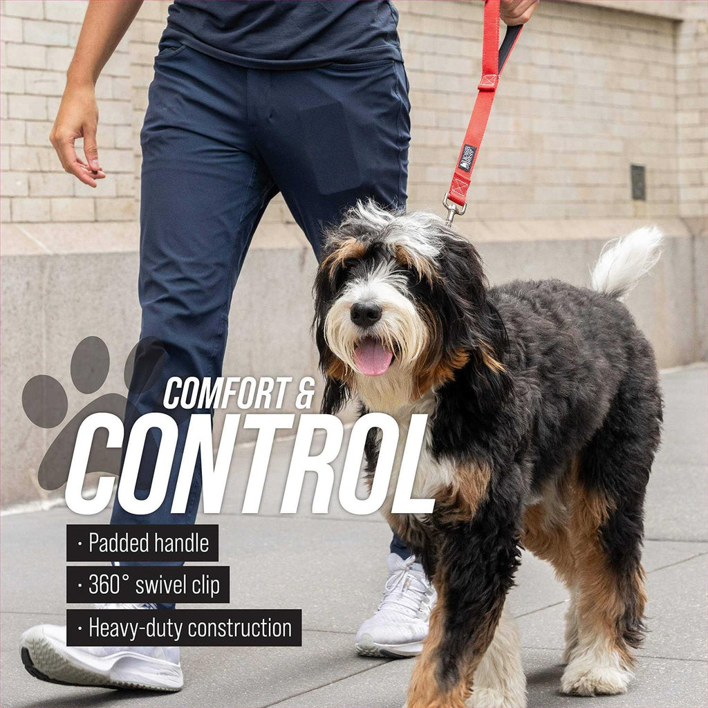Short Dog Leash D577254
