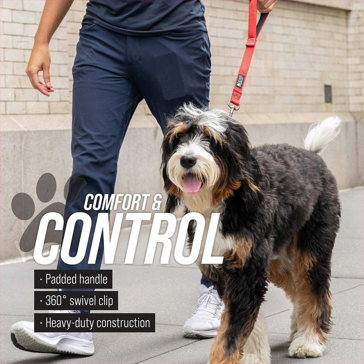 Short Dog Leash D577254