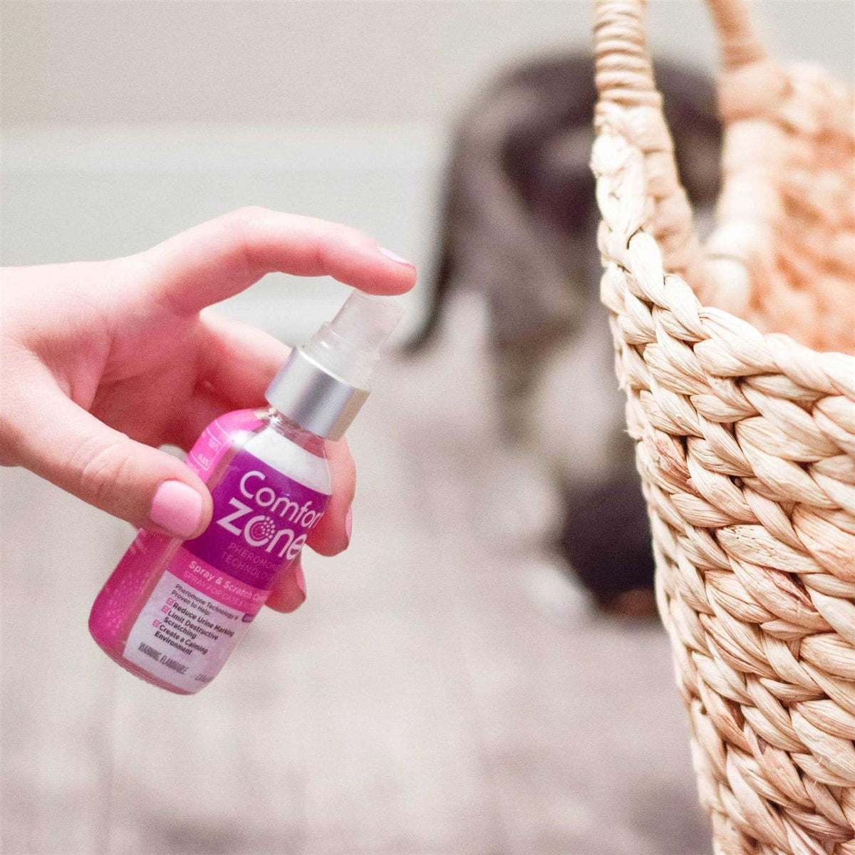 Cat Calming Spray & Scratch F760045