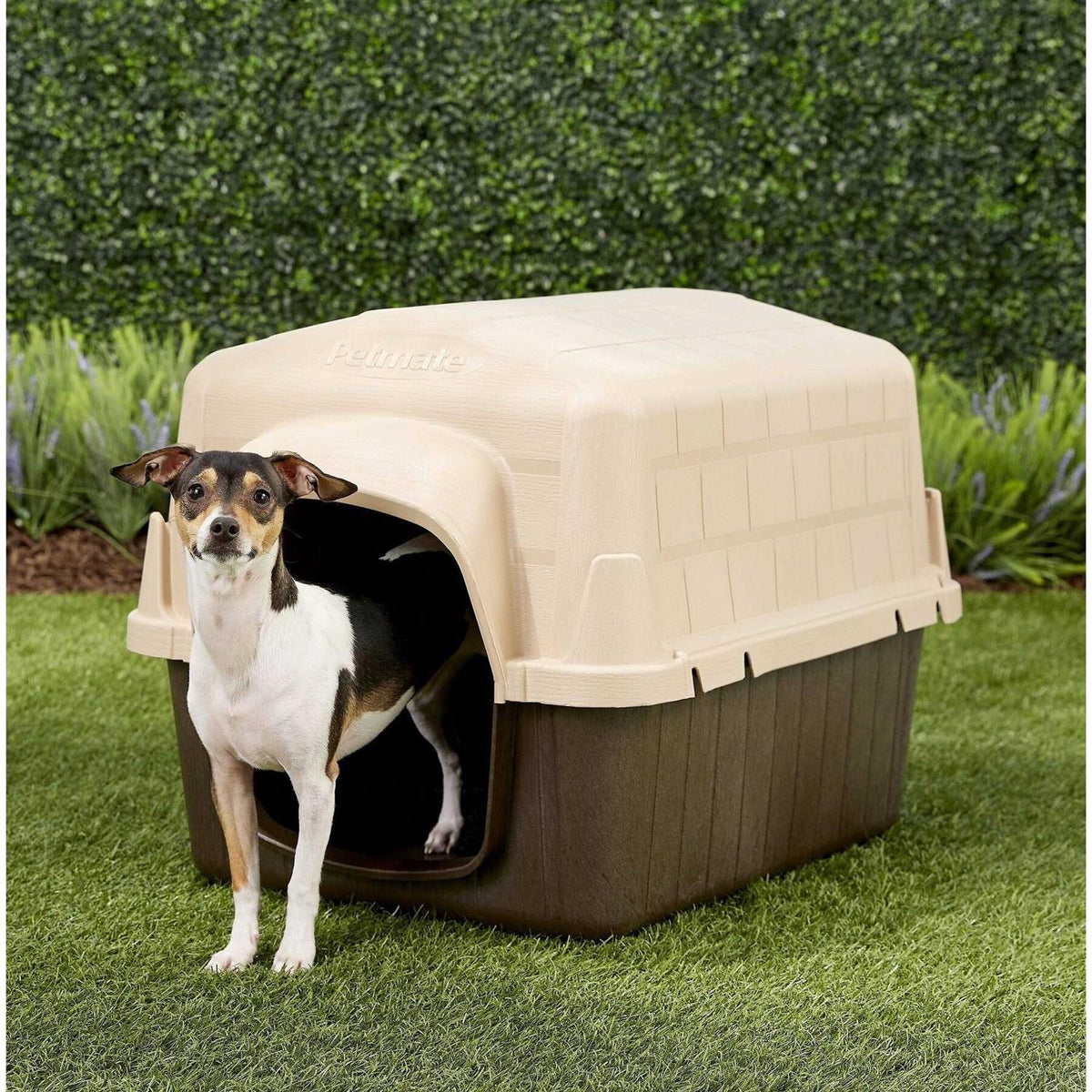 3 Dog House L692