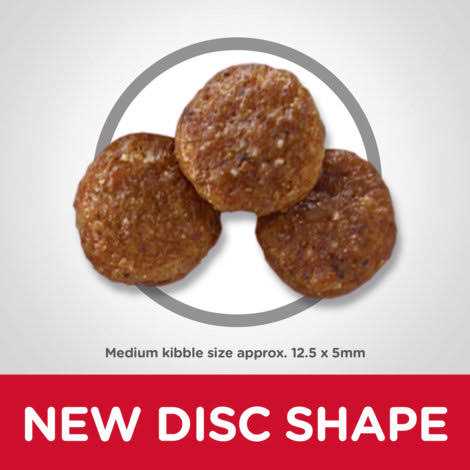 Chicken & Barley Recipe Dry Dog Food T221785