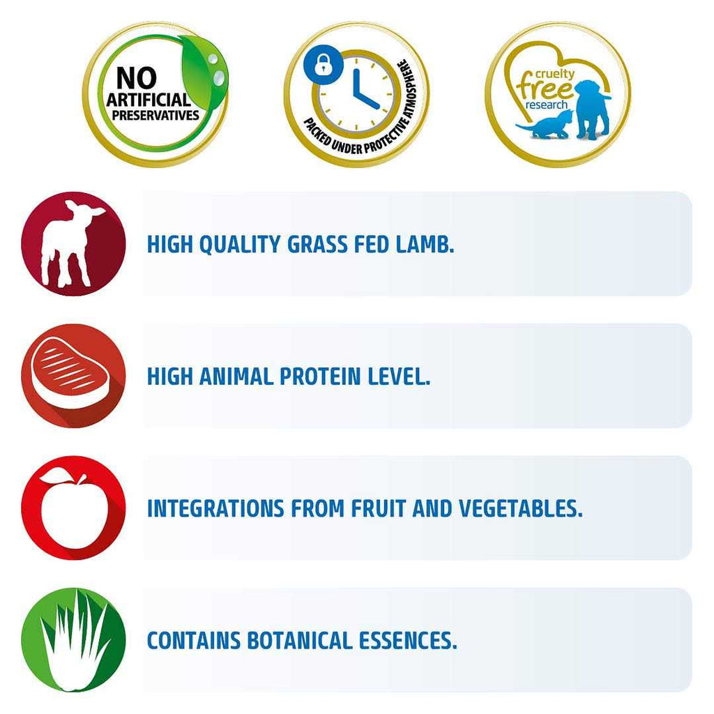 Grain Free Lamb & Blueberry Dry Cat Food U2929
