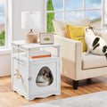 Cat Litter Box with Open Shelf H2631