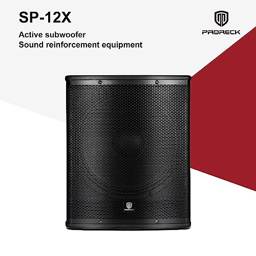12 inch 1000W Powered PA Subwoofer with Class-D Amplifier V5129