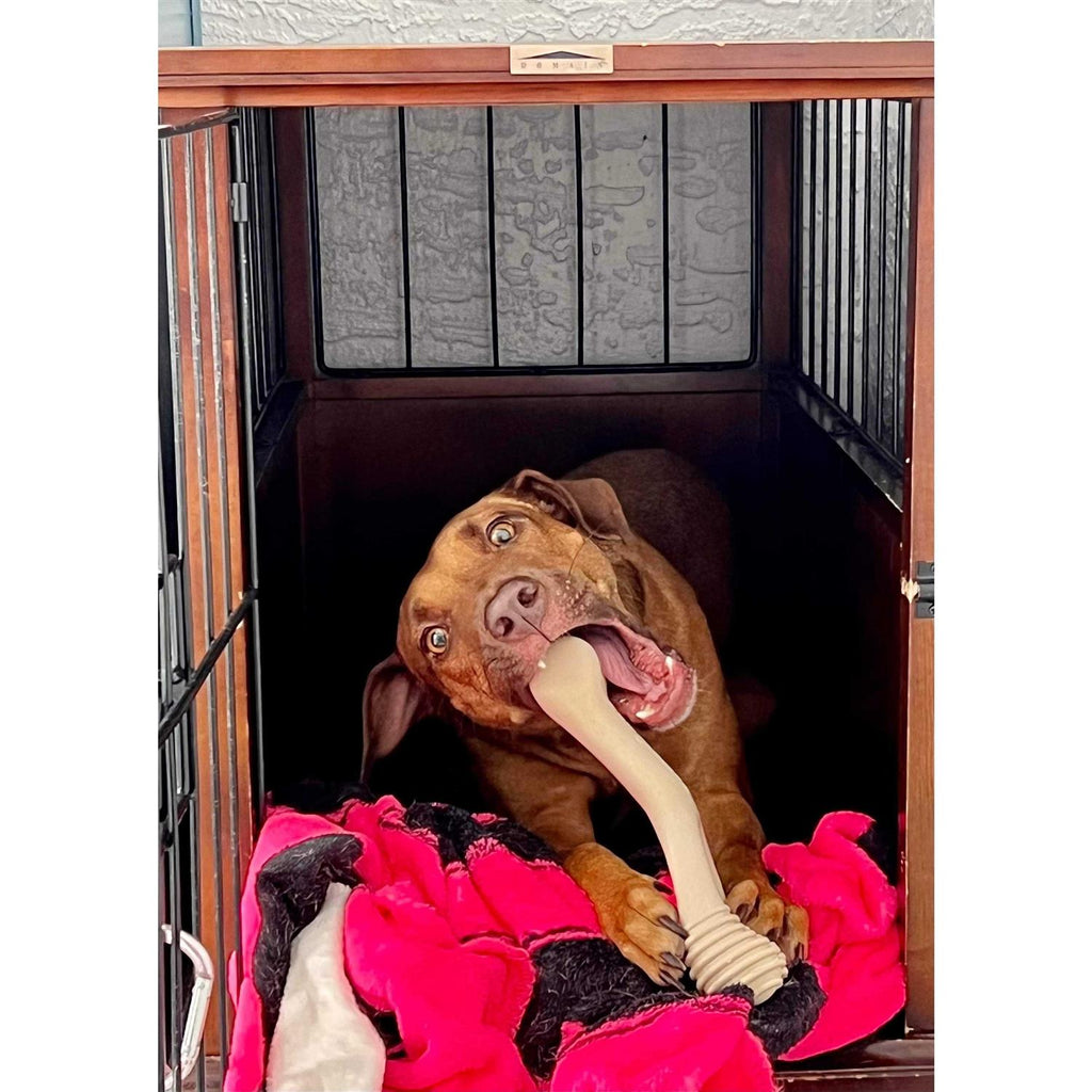 Tough Dog Chew Beef U274457