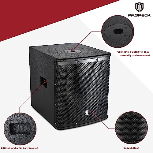 12 inch 1000W Powered PA Subwoofer with Class-D Amplifier V5129