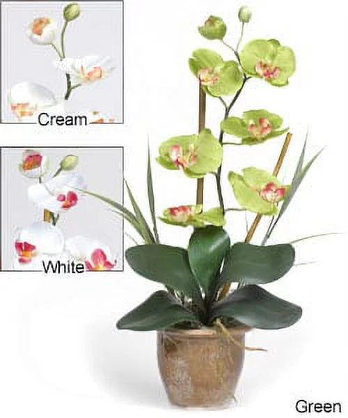 Silk Orchid Plant C68795