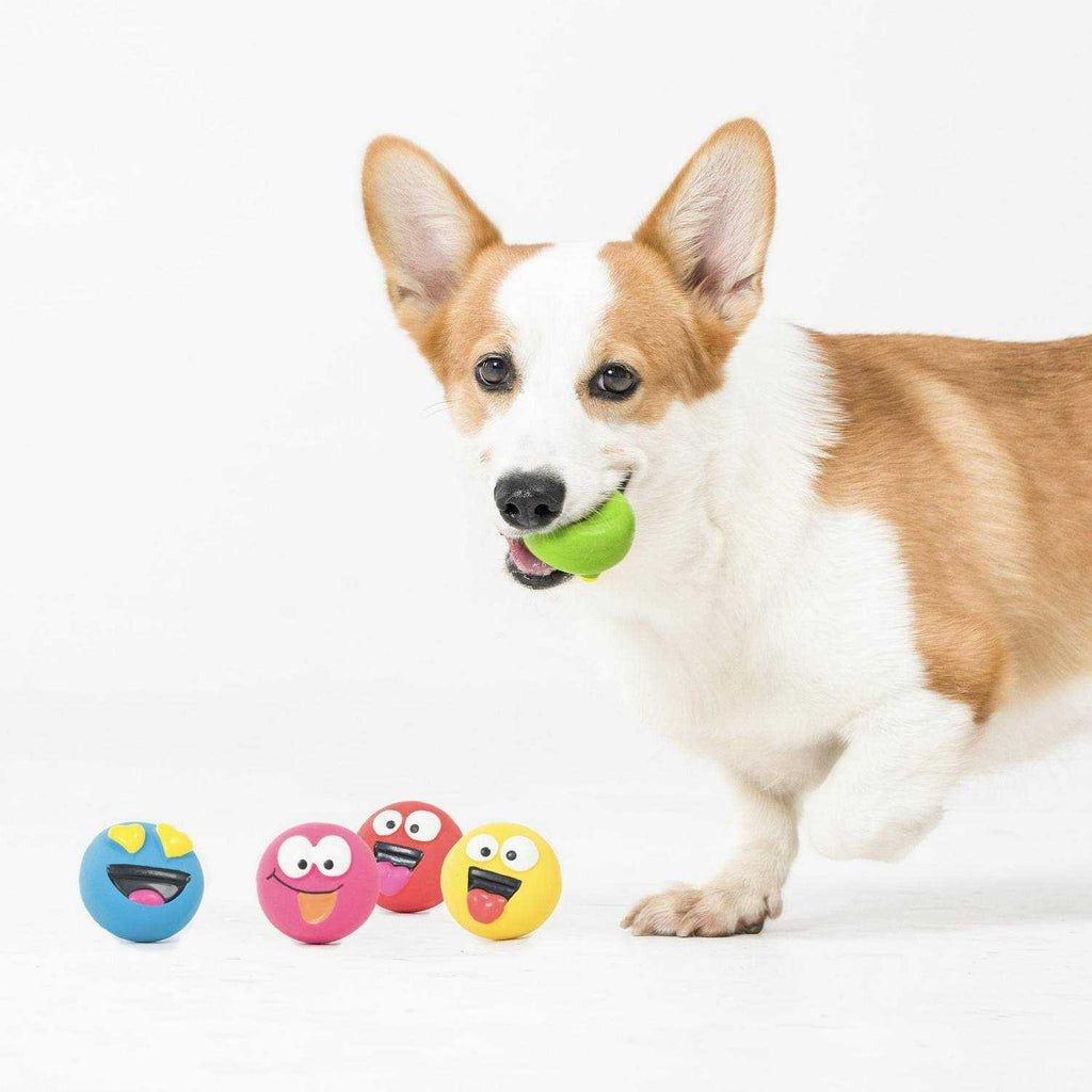 Playful Buddy Dog Toys E574