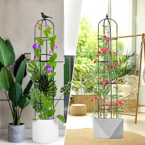 2 Pack 6ft Garden Obelisk Trellis for Climbing Plants X7212