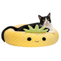 Maui The Pineapple Pet Bed V172