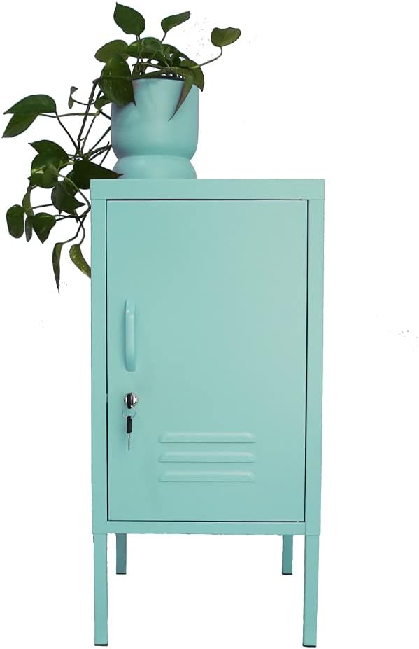 Metal Storage Cabinet End Table T887823