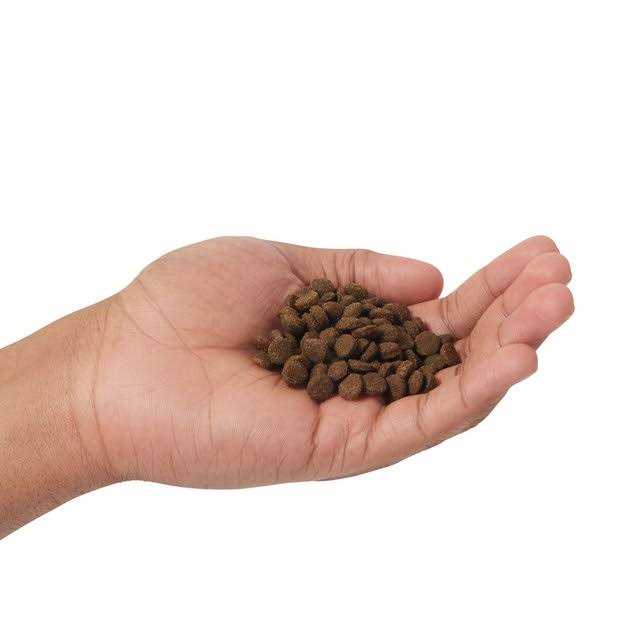 Grain Free Cat Dry Food Lamb & Blueberry N518685