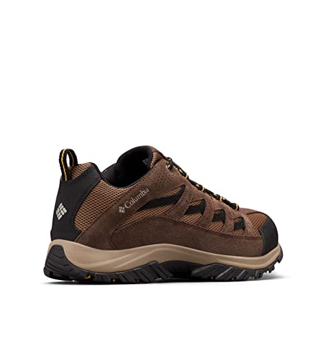 Men's Hiking Shoe I493