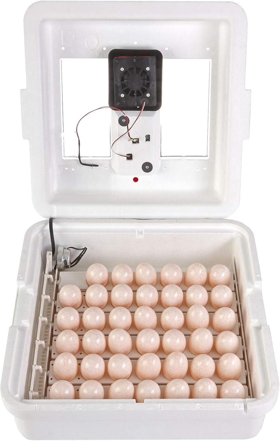 41 Egg Incubator with Temperature and Humidity Control A70026