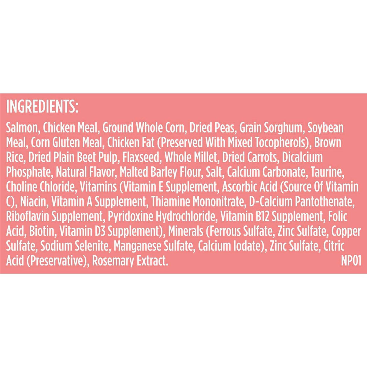 Salmon Veggies & Brown Recipe Dry Dog Food S49286