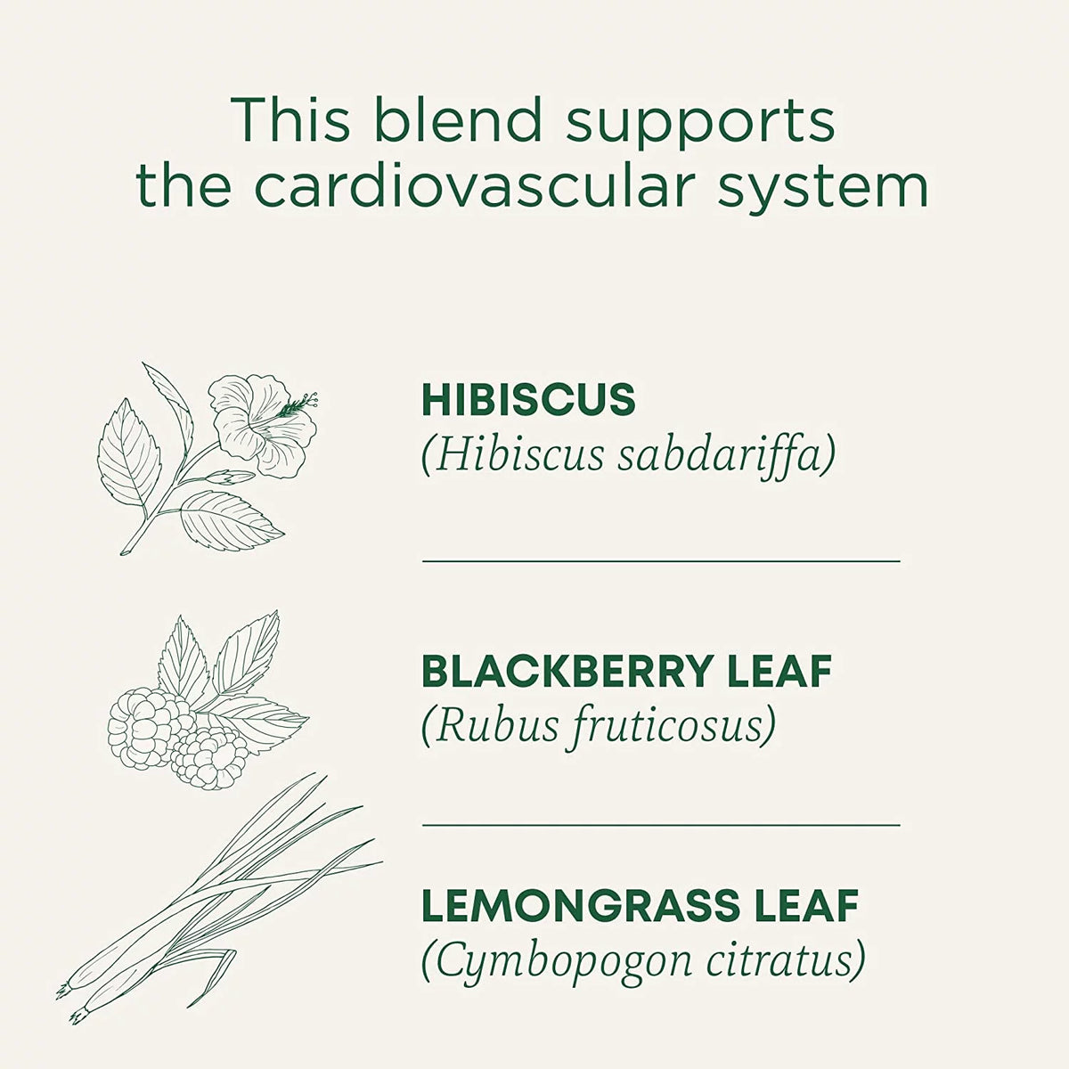 Organic Hibiscus Herbal Tea 16 Tea Bags Pack of 3 T207165