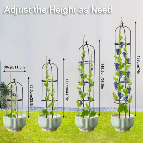 2 Pack 6ft Garden Obelisk Trellis for Climbing Plants X7212