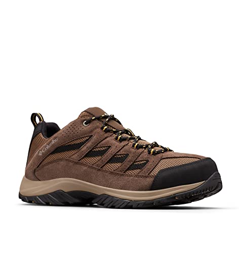 Men's Hiking Shoe I493