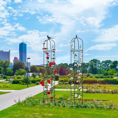 2 Pack 6ft Garden Obelisk Trellis for Climbing Plants X7212