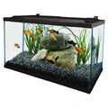 10 Gallon Glass LED Aquarium Kit N690370