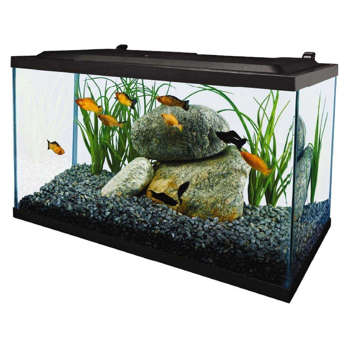 10 Gallon Glass LED Aquarium Kit N690370