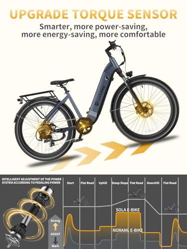 27.5" Electric Bike with 48V Battery, Front Suspension & Dual Hydraulic Brakes N9284