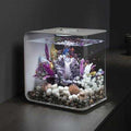 FLOW LED Pet Supplies Z9076