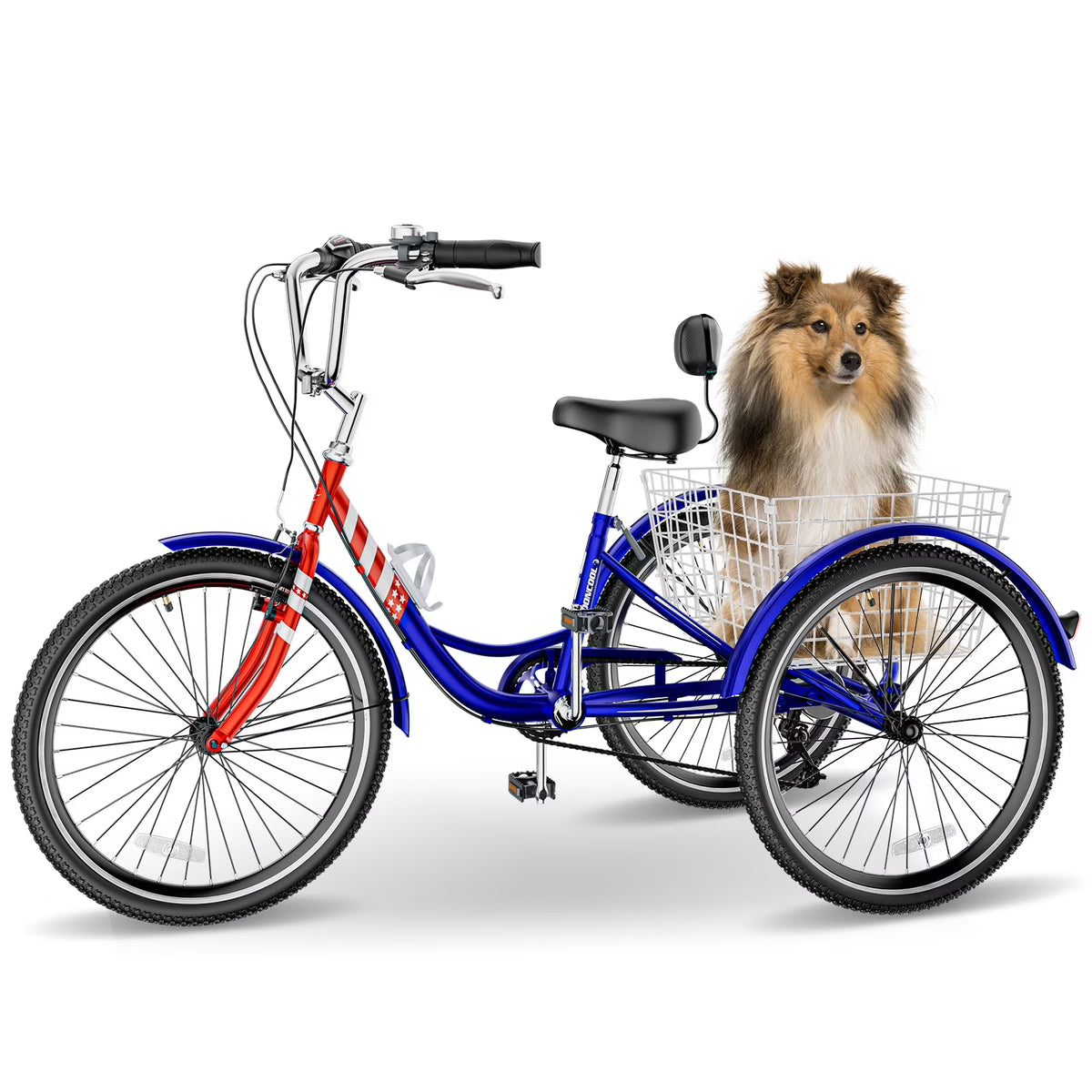 Adult Tricycles 3 Wheel 7 Speed 20 inch with Big Basket R5040