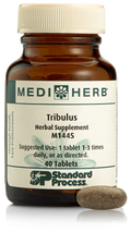 Tribulus, 40 Tablets C88525