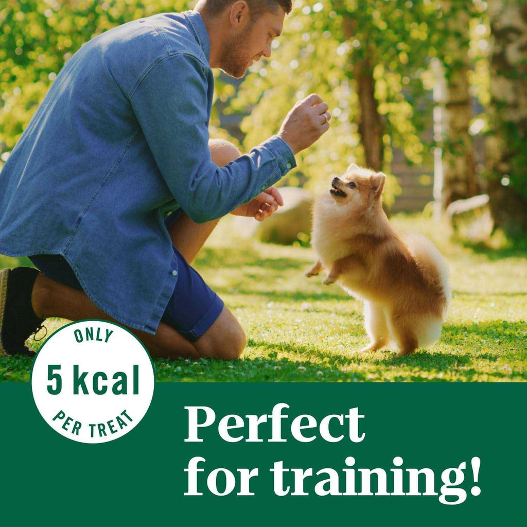 Crunchy Dog Treats C274