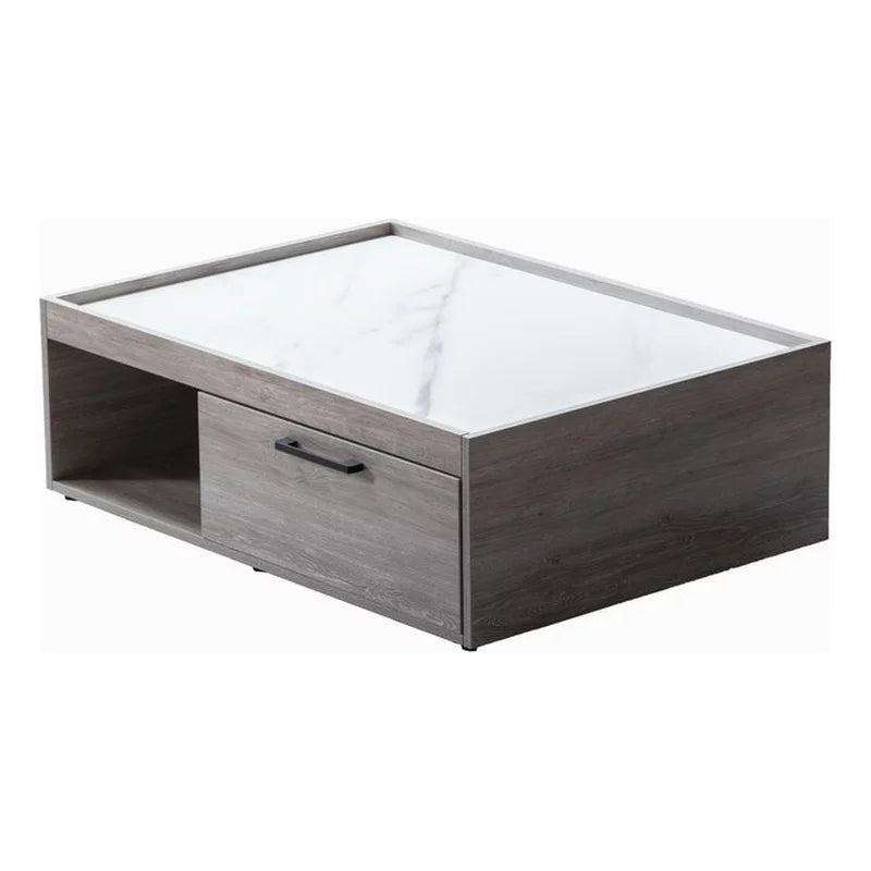2-Piece Sleeper Sofa and Coffee Table Set I107521