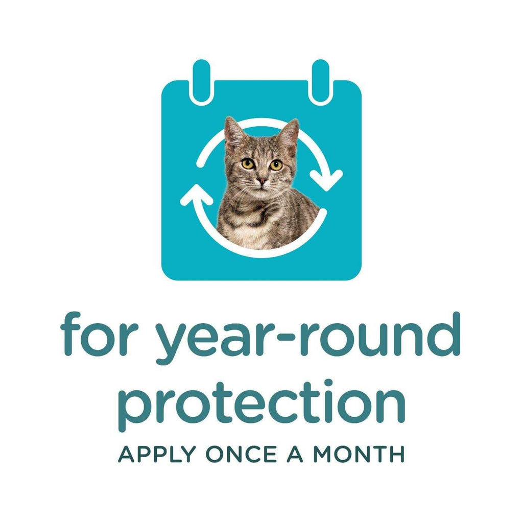 Flea and Tick Topical for Cats K549883