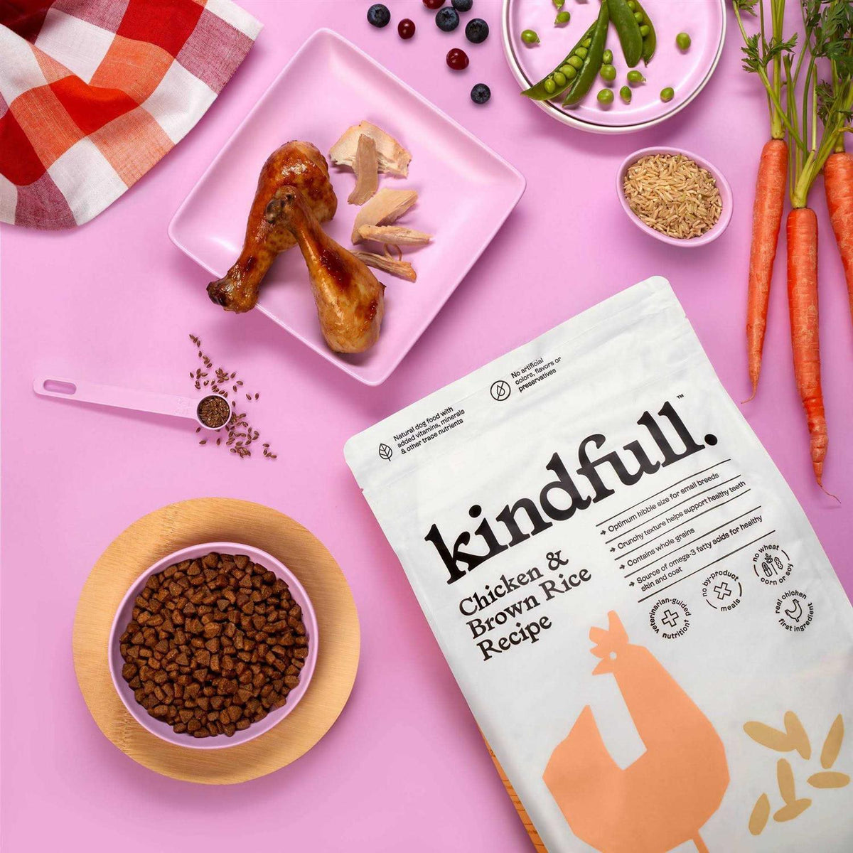 Chicken and Brown Rice Recipe Dry Dog Food D30485