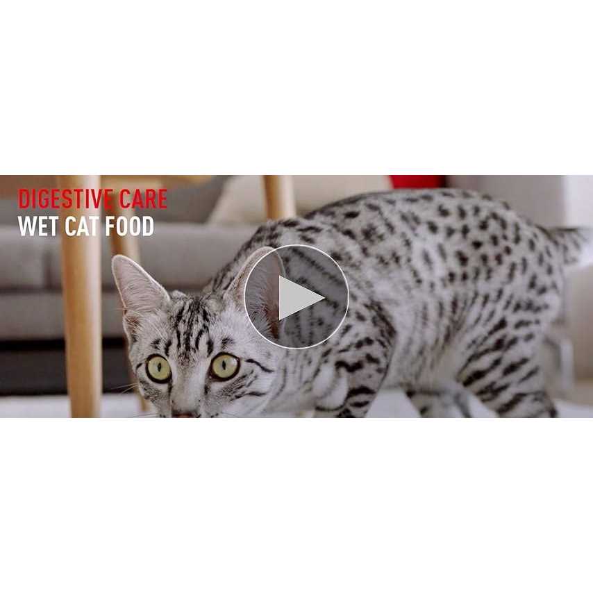 Sensitive Thin Slices in Gravy Wet Cat Food D1431