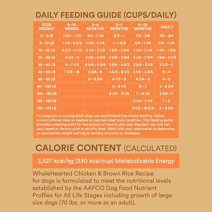 Chicken and Rice Recipe Dry Dog Food M363808
