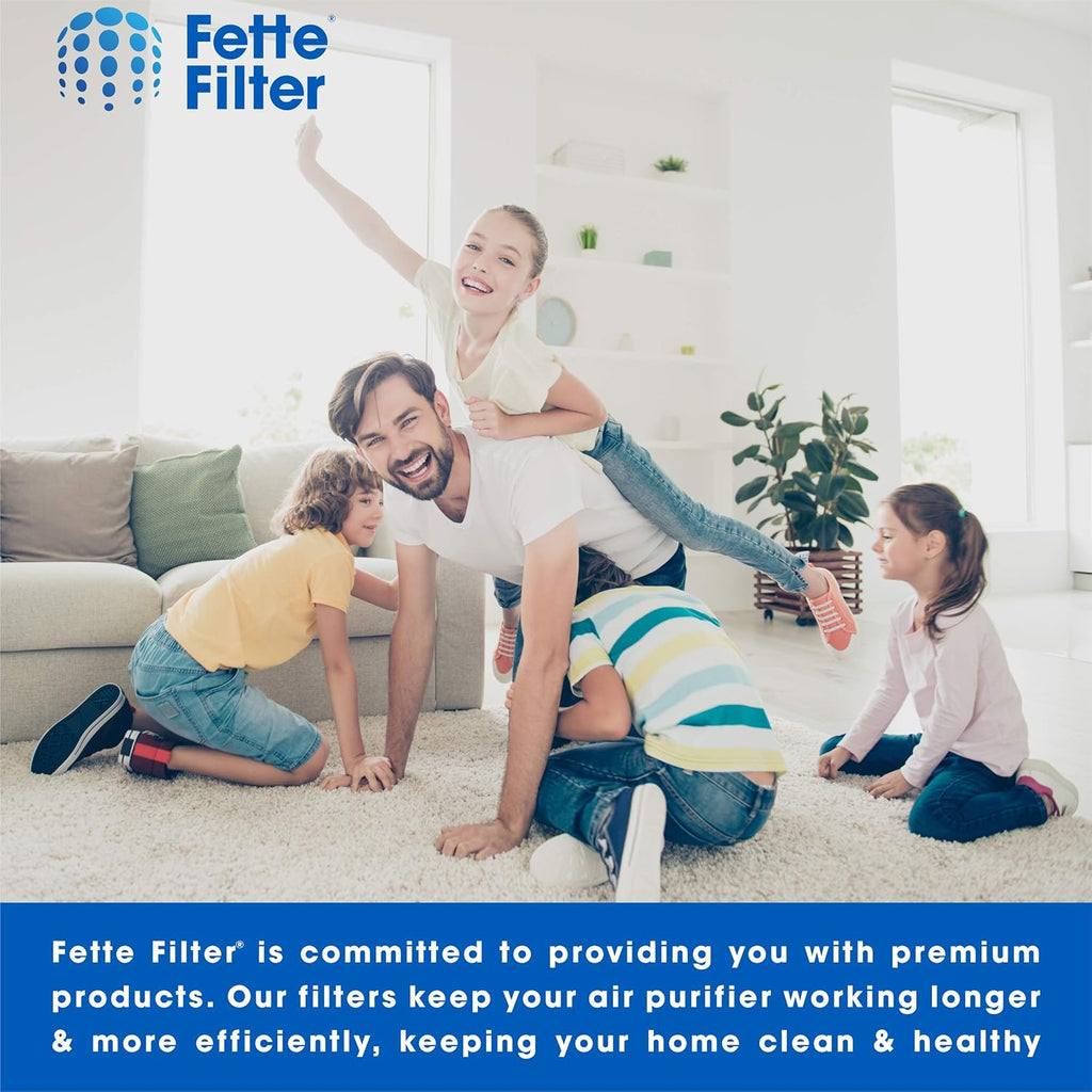 Air Purifier Filter Set with 1 Hepa Filter 2 Carbon Filters and 4 Pre-Filters Z64408