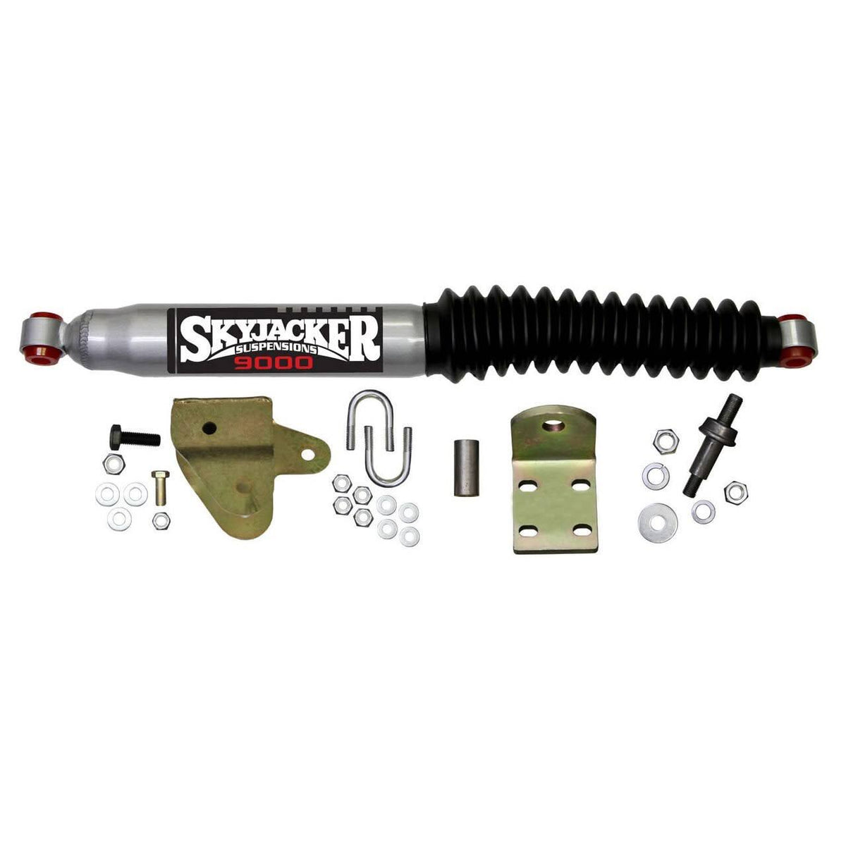 Steering Stabilizer Single Kit F165