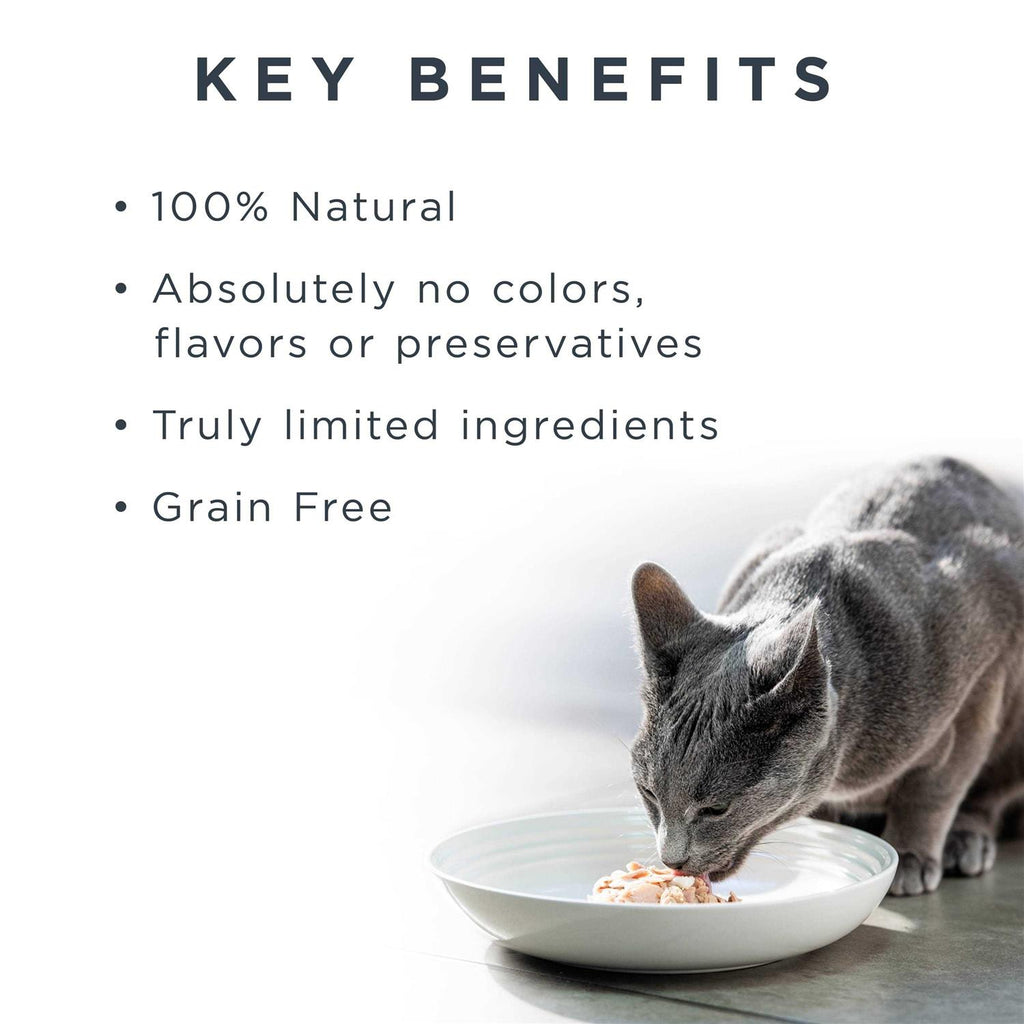 Natural Wet Cat Food Fish Variety Pack in Broth W5473