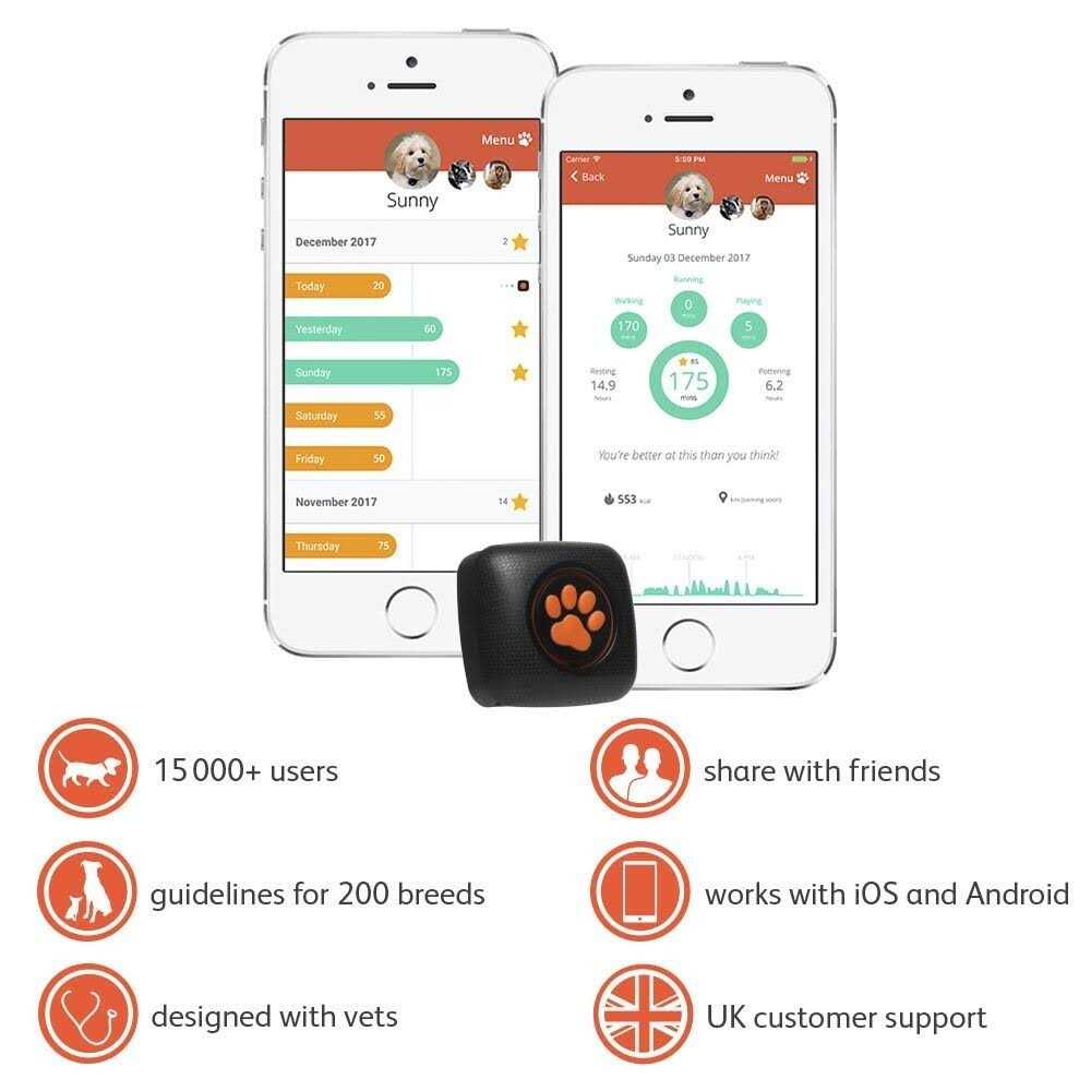 Dog Activity and Fitness Monitor E884859
