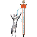 Cat Toy R296334