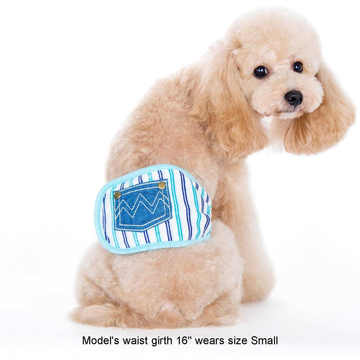 Pet Belly Band Q58555