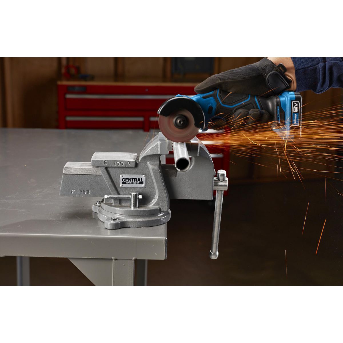 5 in. Swivel Vise with Anvil A443421